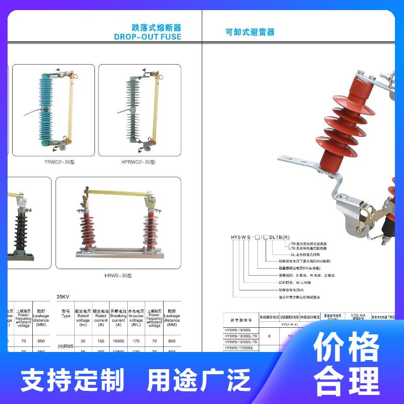 跌落式熔断器RW11-12KV/100A