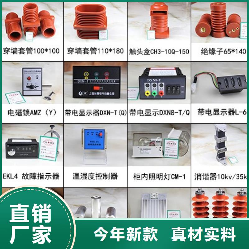 交流断路器ZW32-12/630A