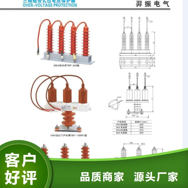 【羿振电力】YH10W1-96/250W生产厂家