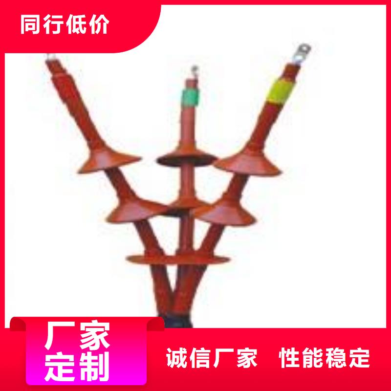 冷缩式电缆终端头10KVLSN-1/2_