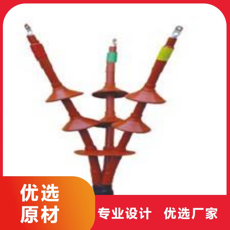 户内冷缩电缆终端头35KVLSN-1/2_