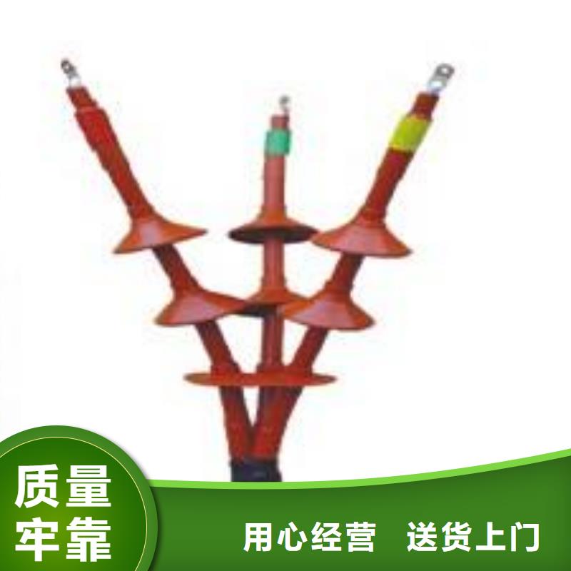 35KVLSN-1/2冷缩式电缆终端头_