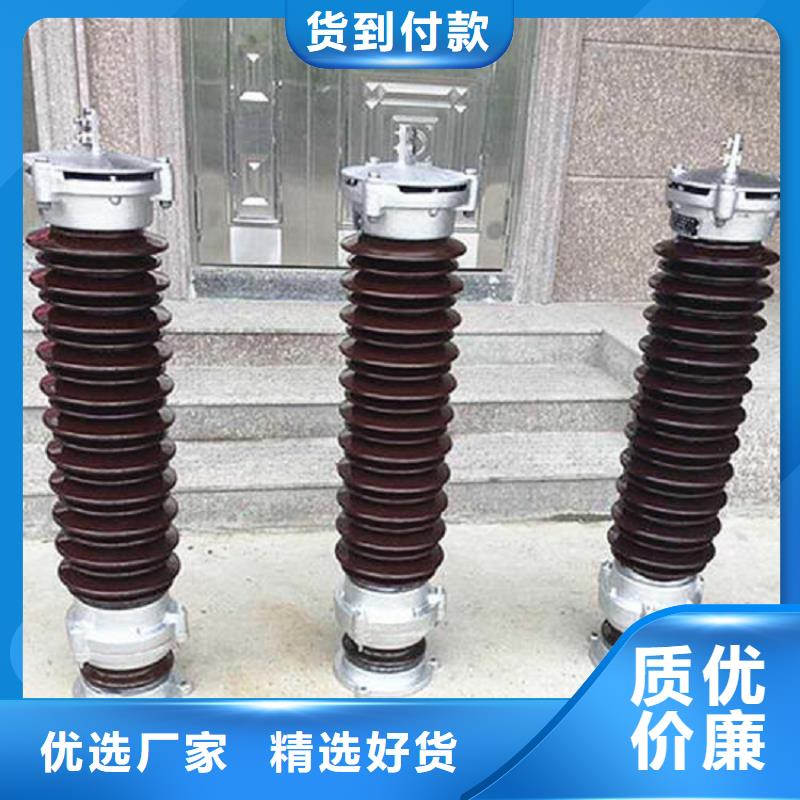 氧化锌避雷器YH10W1-192/500-浙江羿振电气有限公司