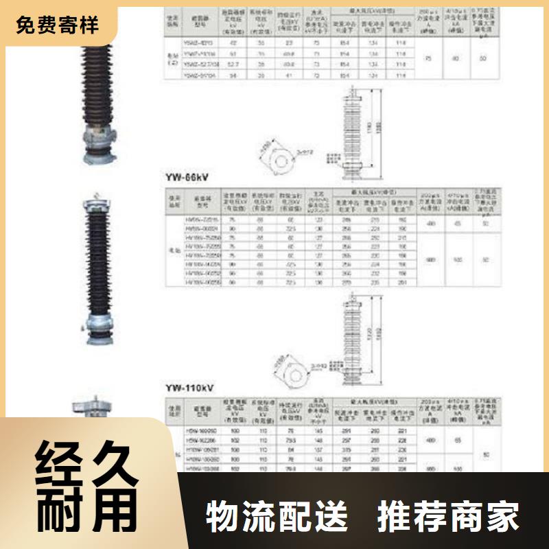 氧化锌避雷器Y5W5-228/593实体厂家