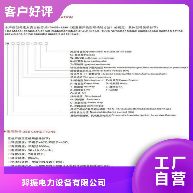 _避雷器Y10W1-216/562【羿振电力设备】