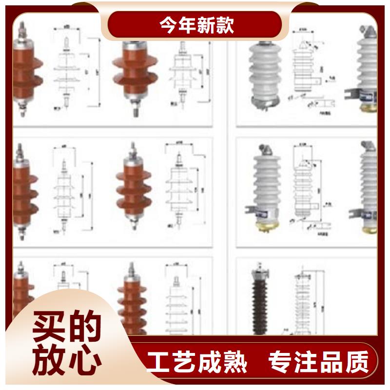 避雷器YH10W-108/281G【羿振电力设备】