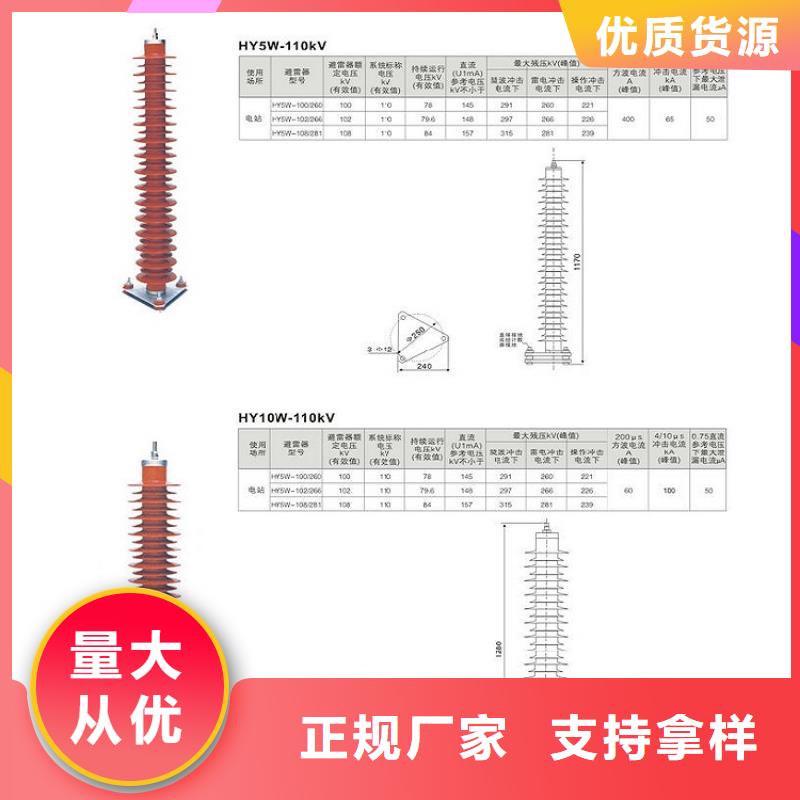 _避雷器Y10W1-192/500(G)W【羿振电力设备】