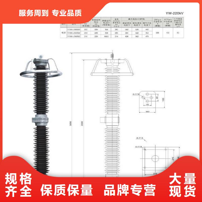 避雷器YH10WZ-100/260GY