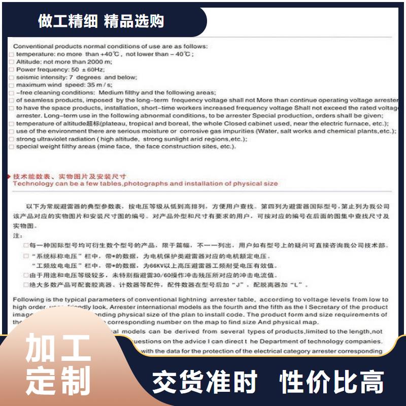 避雷器Y10W1-100/260W【羿振电力】
