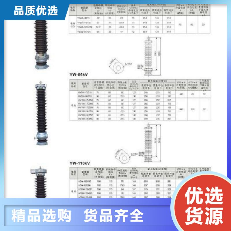 金属氧化物避雷器Y10W-100/260