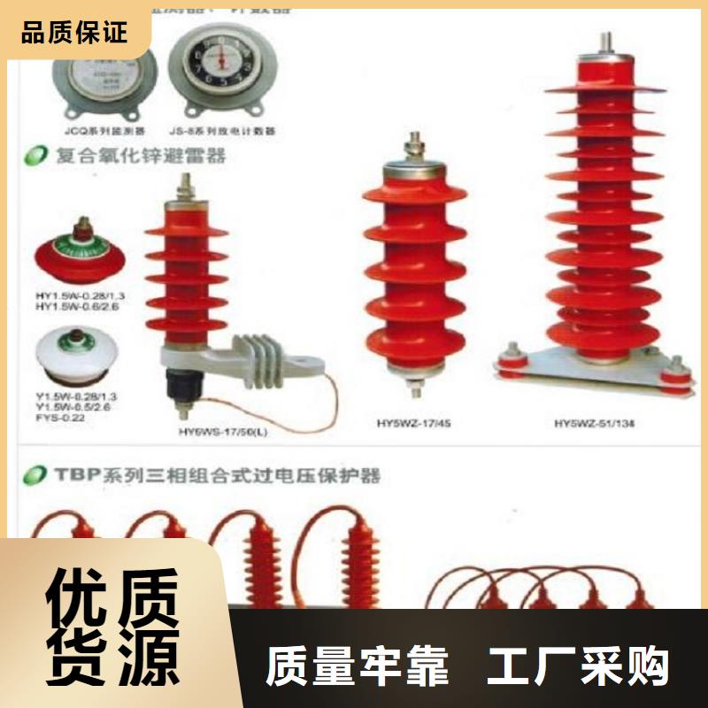 氧化锌避雷器Y5W5-228/593实体厂家