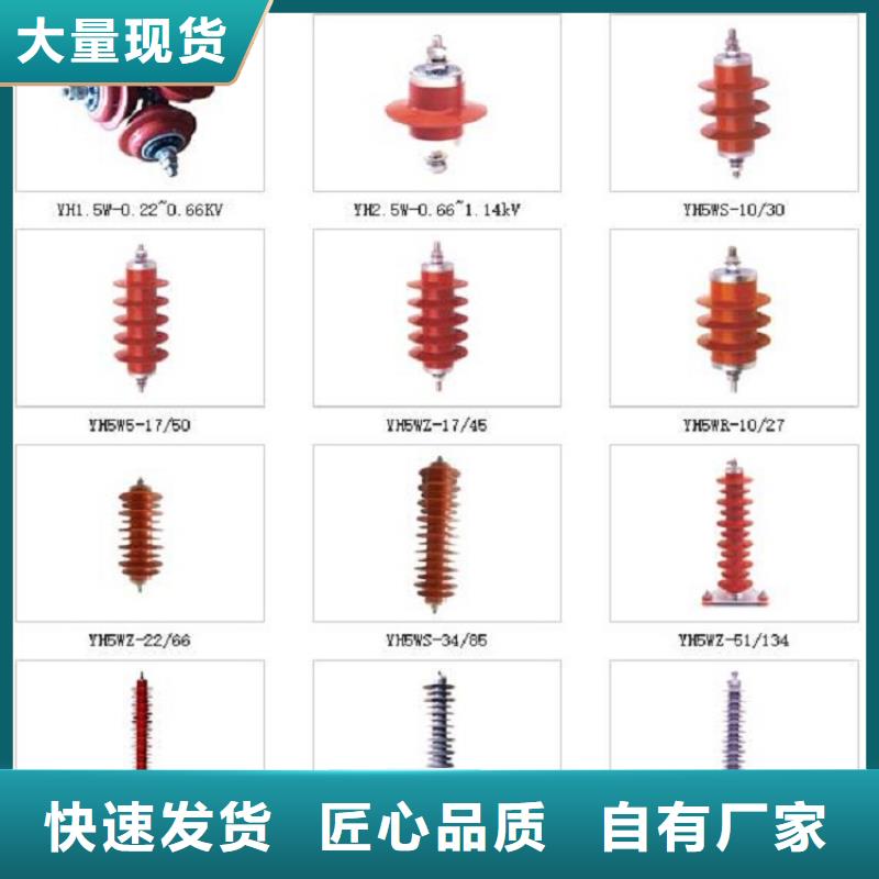 瓷外套金属氧化物避雷器Y10W-200/496