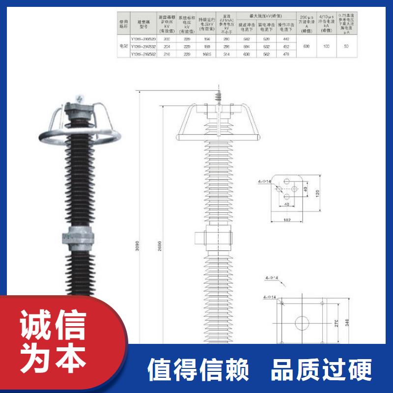 避雷器Y10W5-108/281W