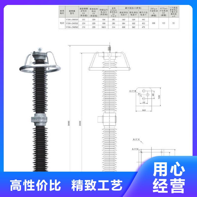 瓷外套金属氧化物避雷器Y10W-200/496