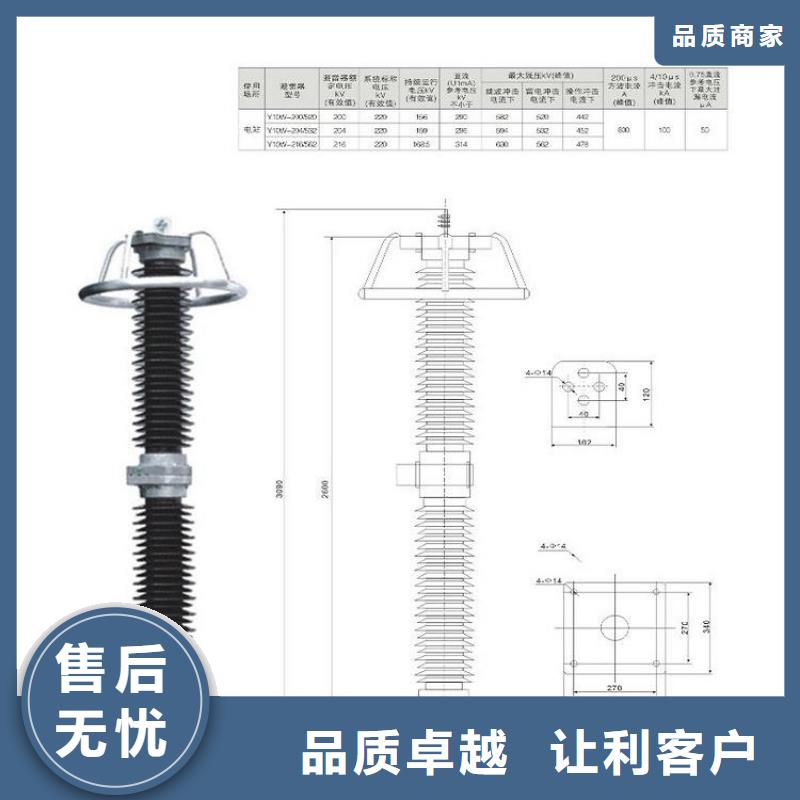 #【避雷器】YH10WZ2-200/520S