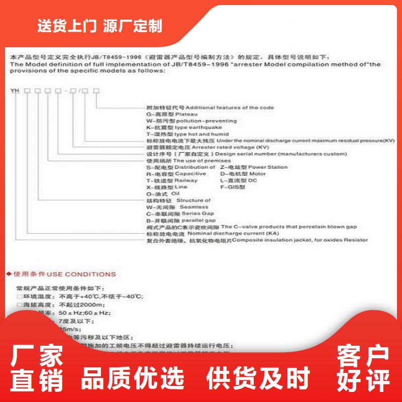 【羿振电力】避雷器Y10W-204/532