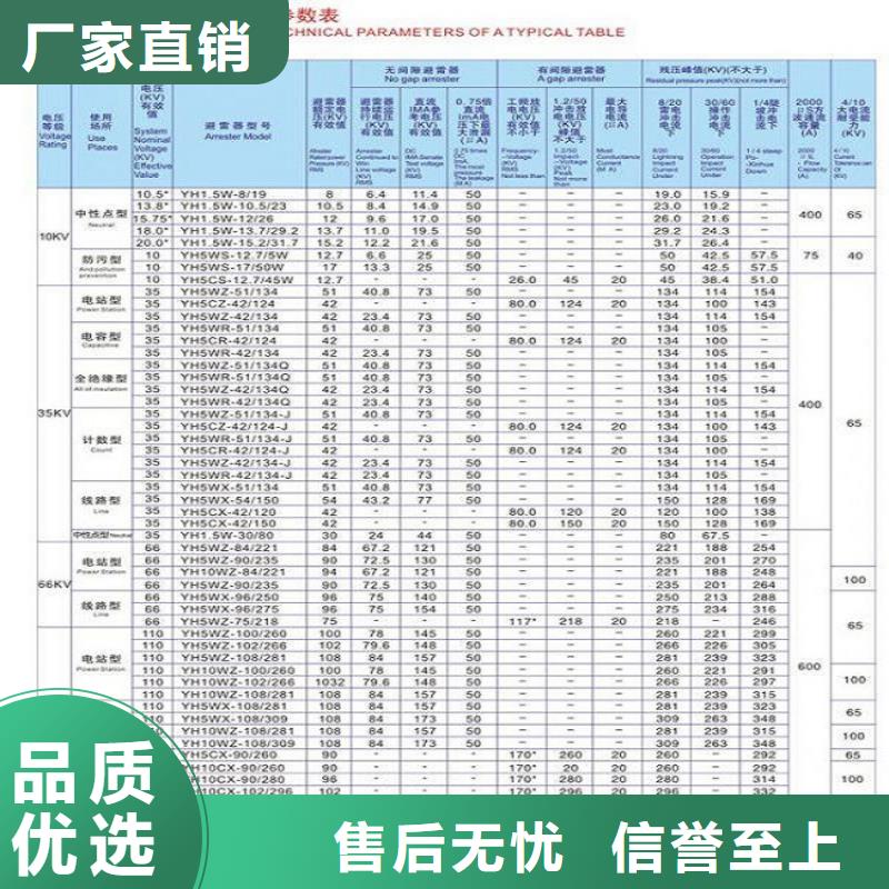 【羿振电气】Y10W5-108/281-避雷器生产厂家