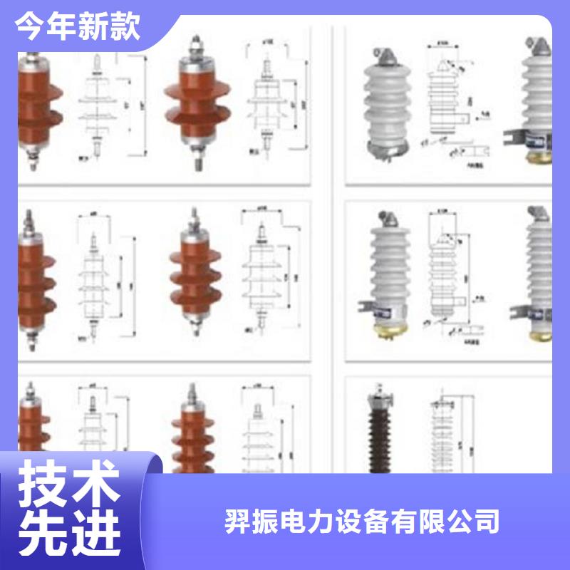 避雷器YH10CX5-96/250【羿振电力设备】