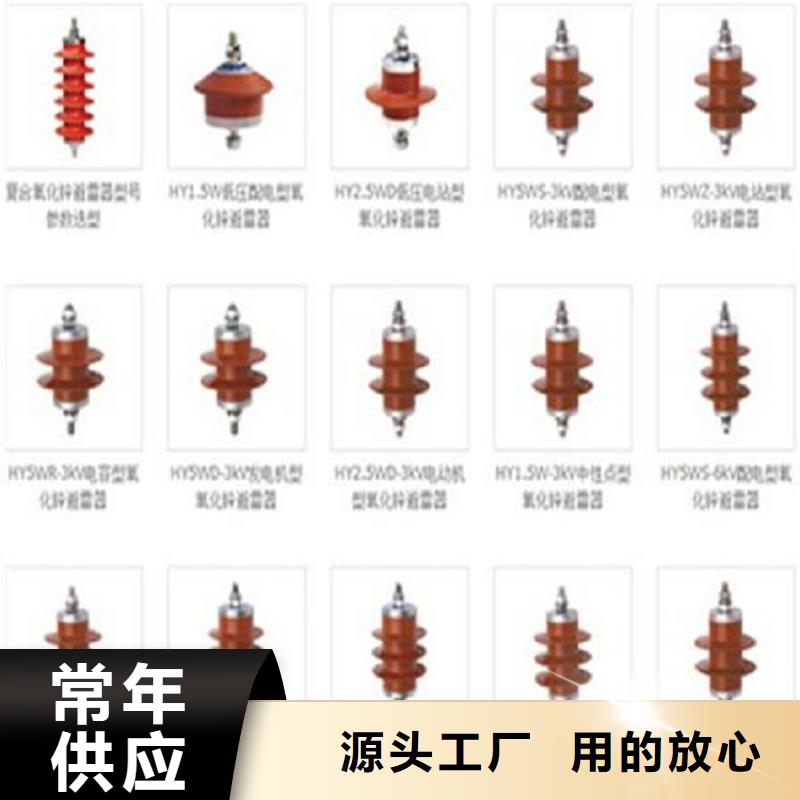 避雷器Y10W-102/266浙江羿振电气有限公司