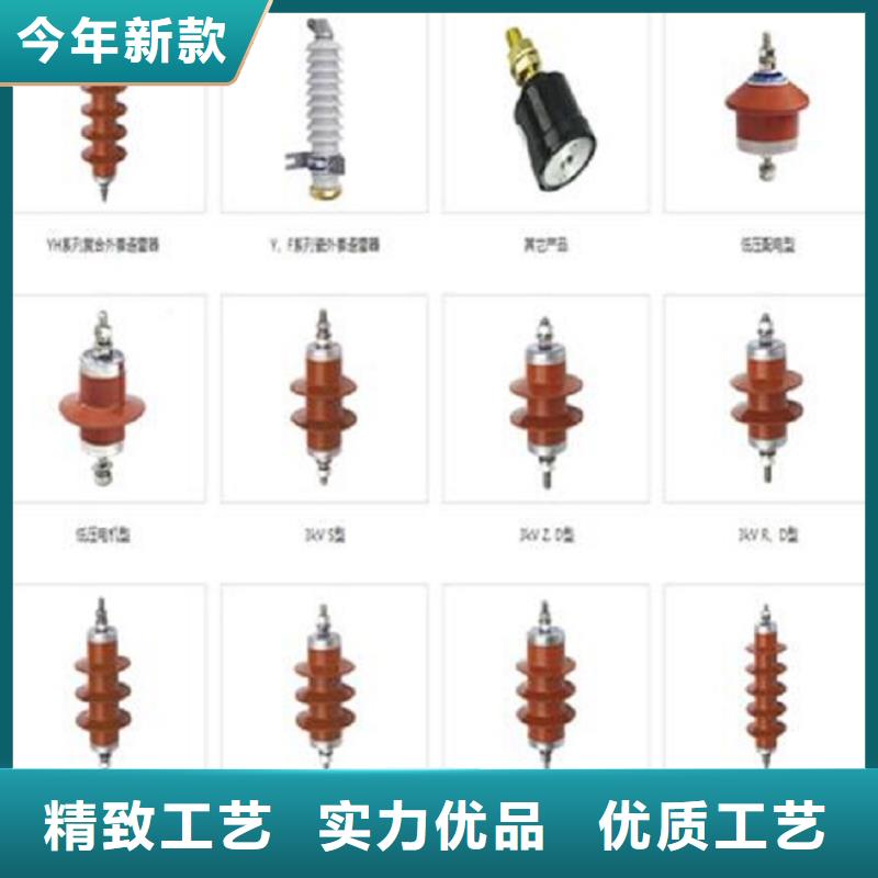 瓷外套金属氧化物避雷器Y10W-200/496