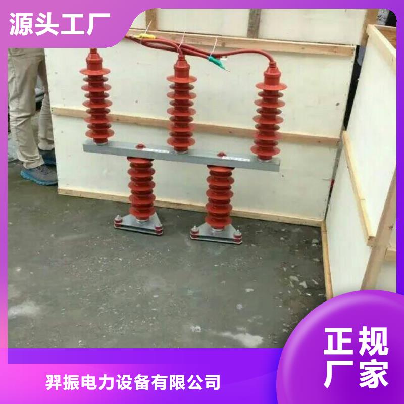 过电压保护器(组合式避雷器)TBP-B-35/F