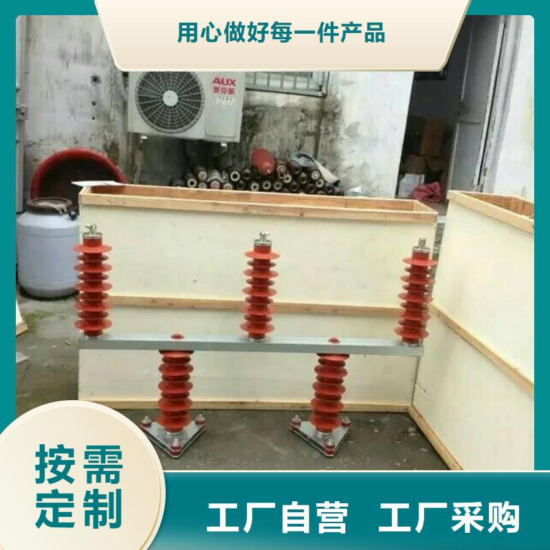 过电压保护器(组合式避雷器)YH5WD-13.5/38.7*13.5/31.0
