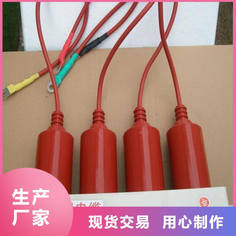 过电压保护器(组合式避雷器)YH5WD-13.5/38.7*13.5/31.0