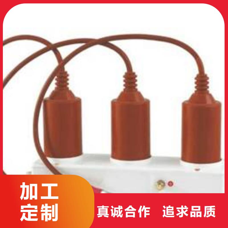 【羿振牌】〖过电压保护器〗BSTG-B-12.7/131厂家直销