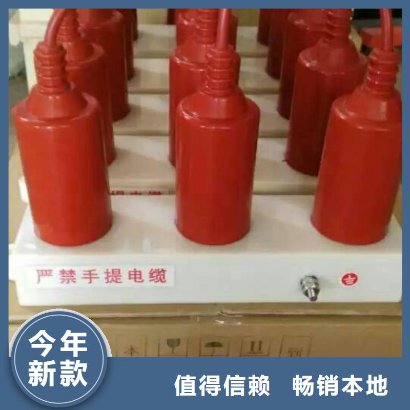 过电压保护器TGB-D-15.75/N