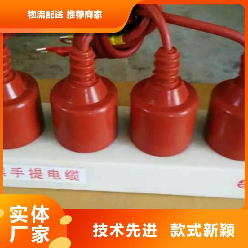 过电压保护器(组合式避雷器)BSTG-B-7.6/800