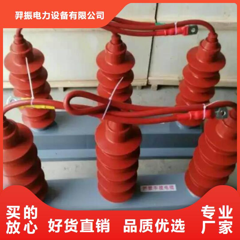 【羿振电气】过电压保护器TBP-B-10