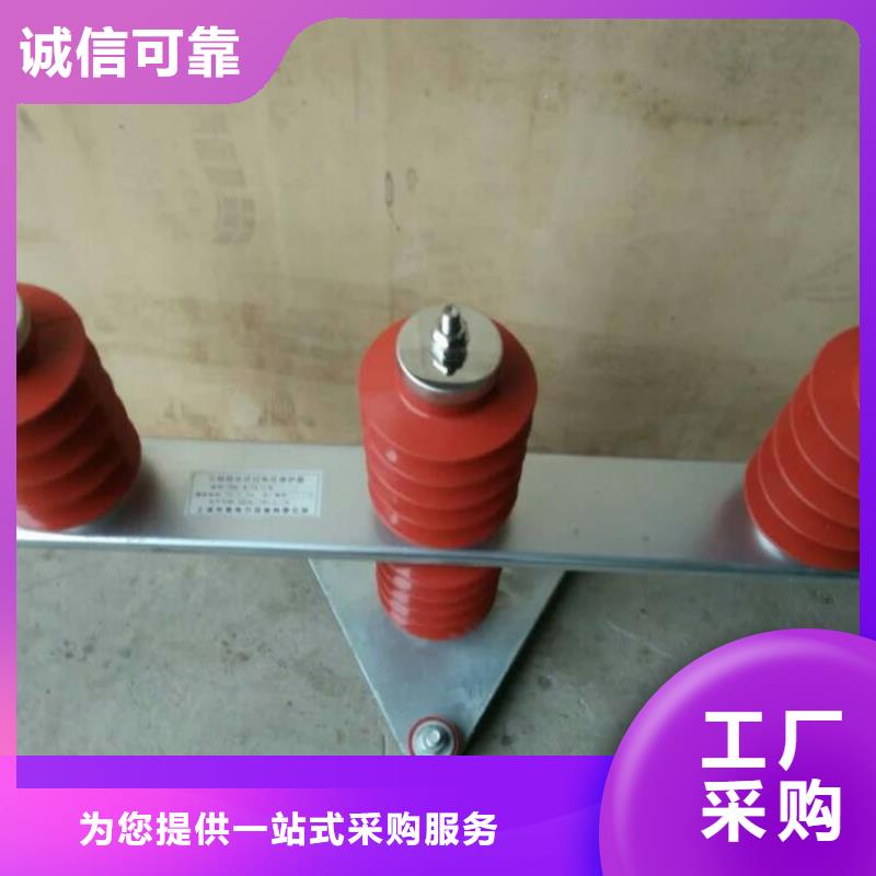 过电压保护器(组合式避雷器)TBP-C-7.6/85-J