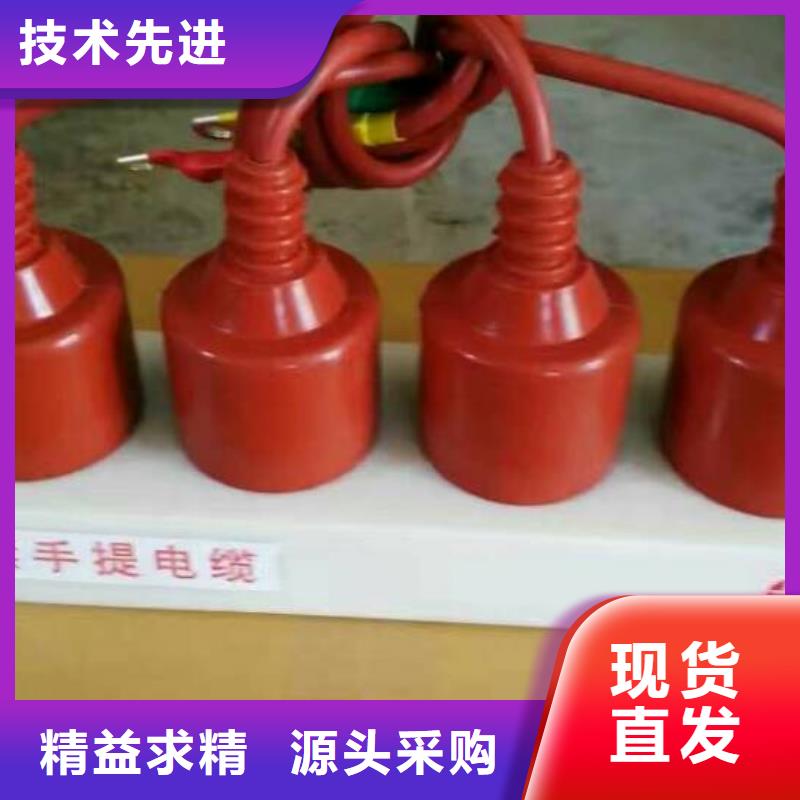 【过电压保护器/组合式避雷器】TBP-C-7.6F/150-J