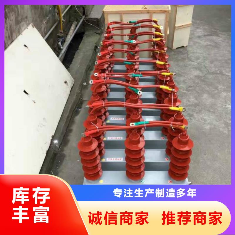 【避雷器/过电压保护器】TBP-C-10.5/85