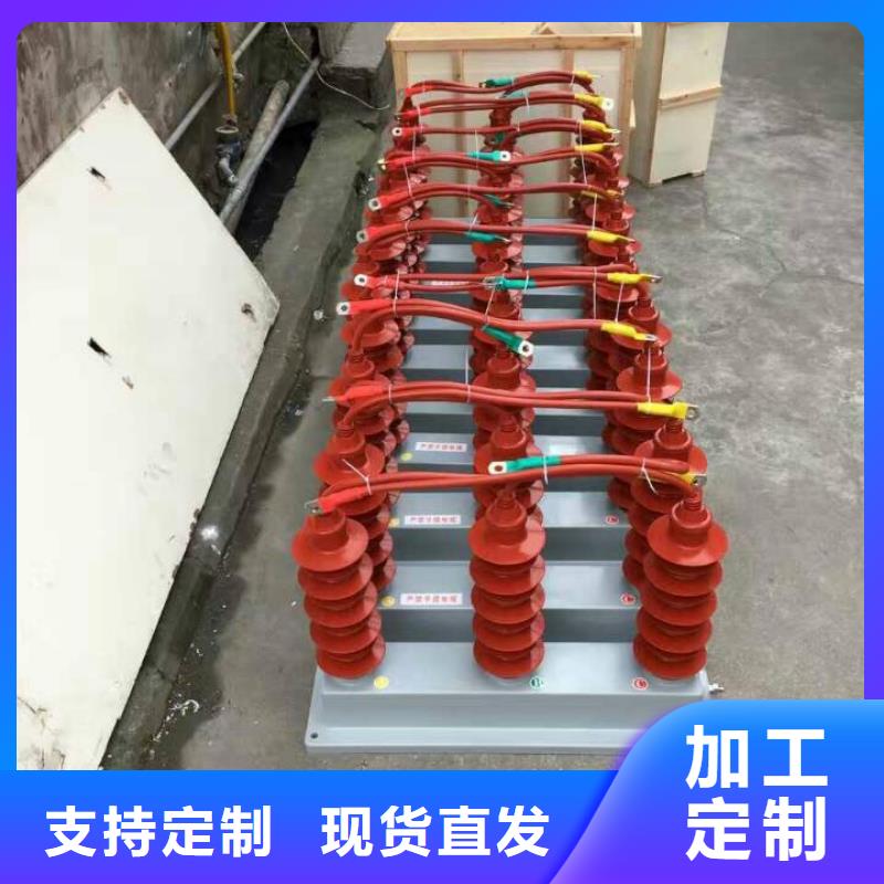 ＿保护器(组合式避雷器)BSTG-B-6