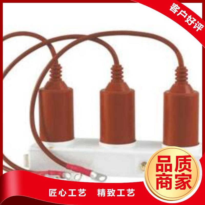 【避雷器/过电压保护器】TBP-A-42/280