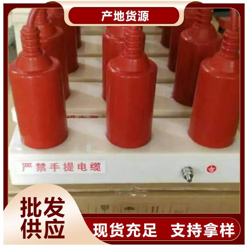 过电压保护器(组合式避雷器)BWKP-C-7.6/131-J