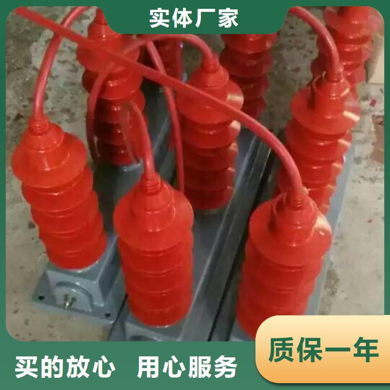 过电压保护器(组合式避雷器)TBP-A-42F/630W2