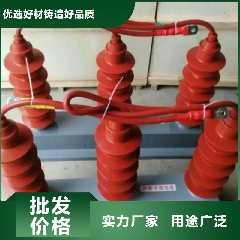 保护器(组合式避雷器)TBP-B-7.6F/85-J