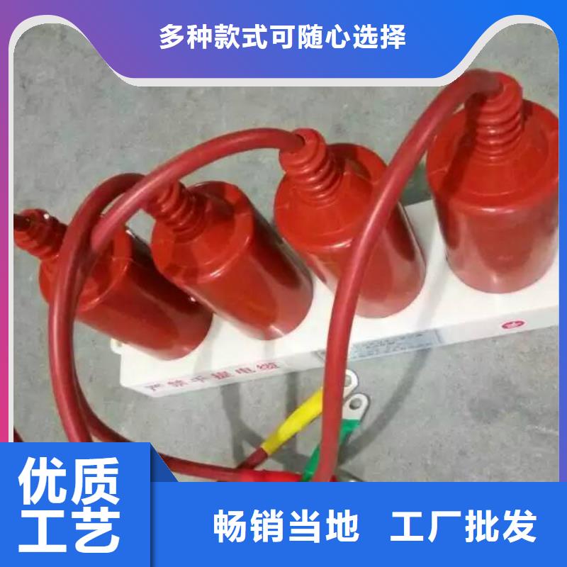 过电压保护器(组合式避雷器)BWKP-C-7.6/131-J