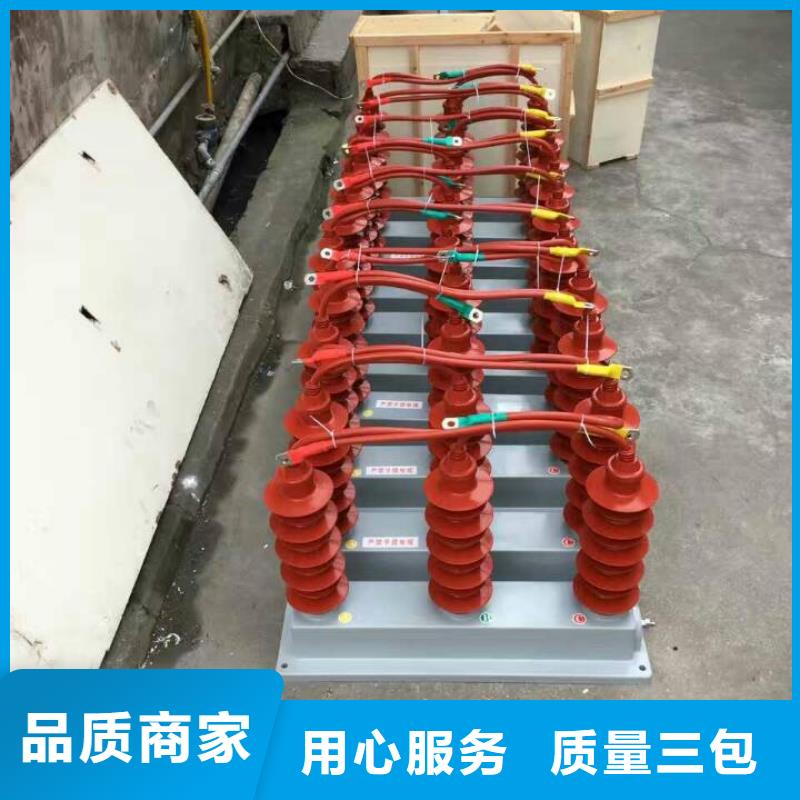 过电压保护器(组合式避雷器)BSTG-B-7.6/800