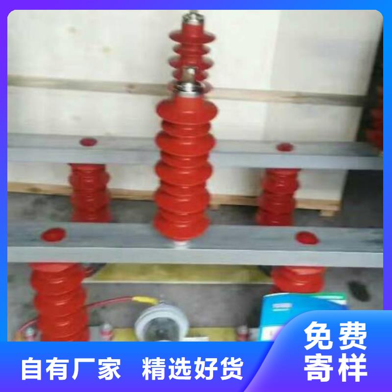 【羿振电气】过电压保护器高压组合式避雷器BWKP-C-7.6/131