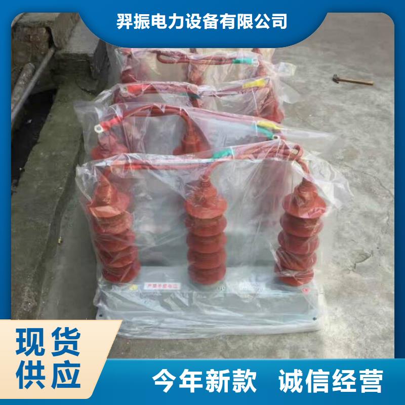 【羿振电气】过电压保护器TBP-B-10