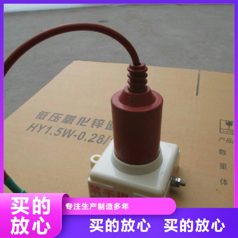 〖过电压保护器〗BSTG-A-17/600优惠报价
