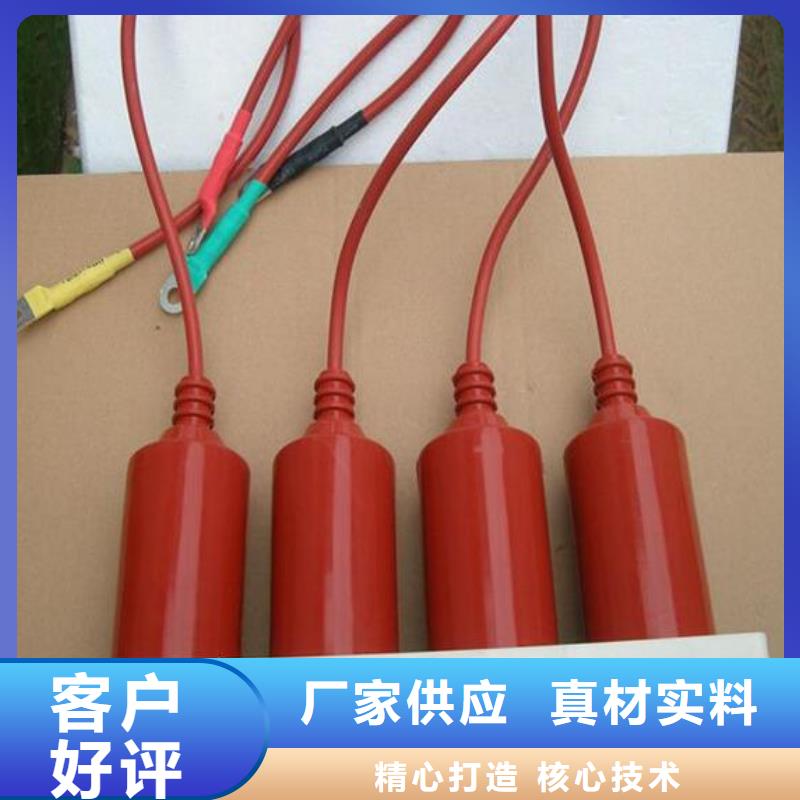 羿振电气牌：TBP-A-42F/400W-过电压保护器避雷器生产厂家