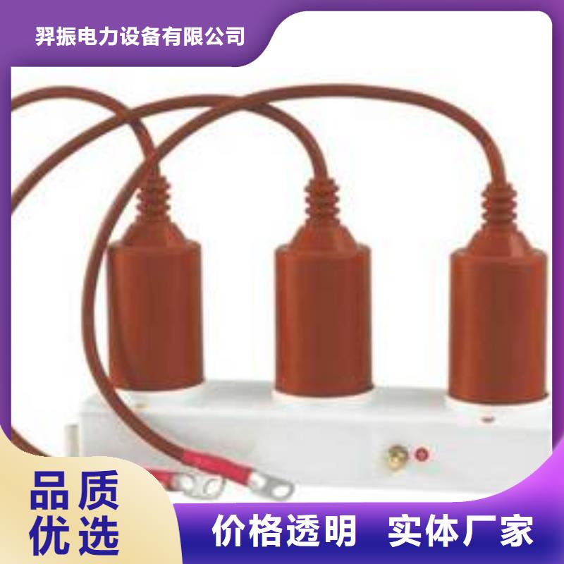 过电压保护器TBP-B-42F/310