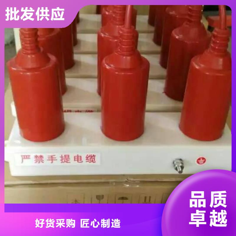 过电压保护器(组合式避雷器)BSTG-B-7.6/800
