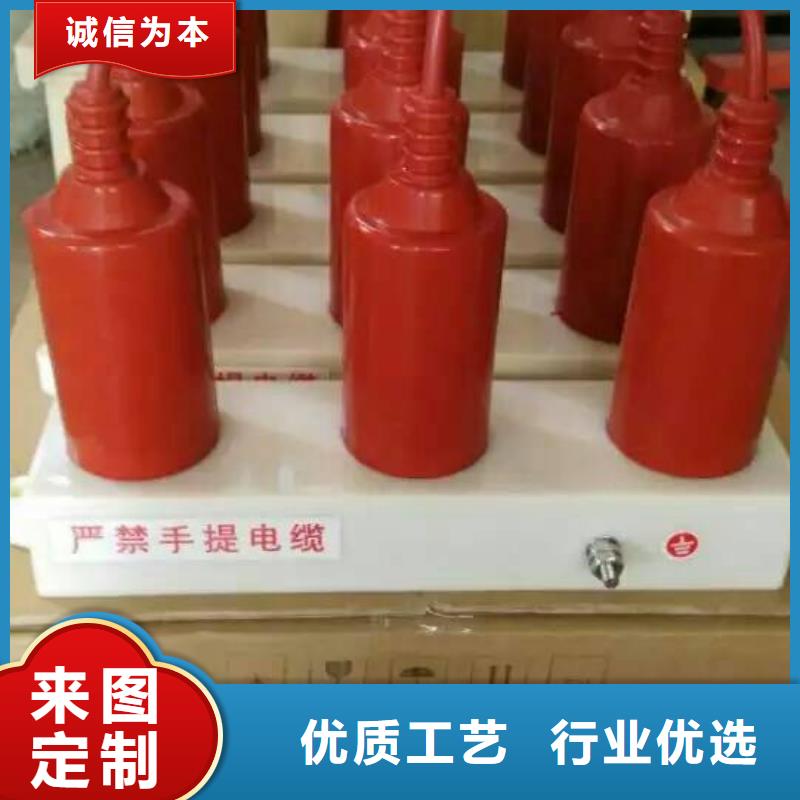 保护器(组合式避雷器)TBP-C-12.7/150
