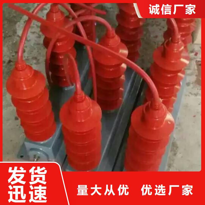 保护器(组合式避雷器)RSB-C/F-10.5-J