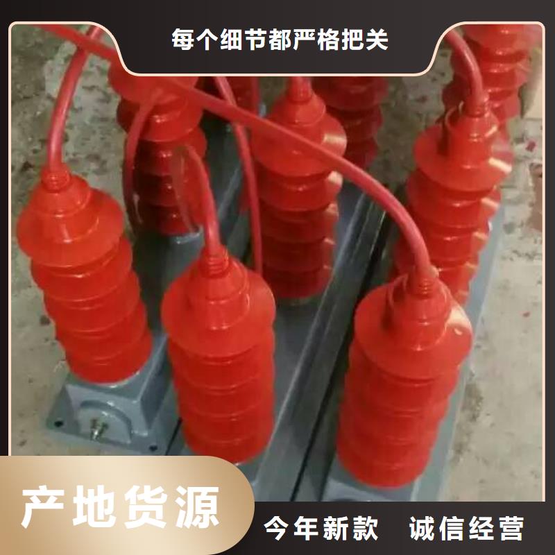 保护器(组合式避雷器)TBF-B-7.6F/131-J